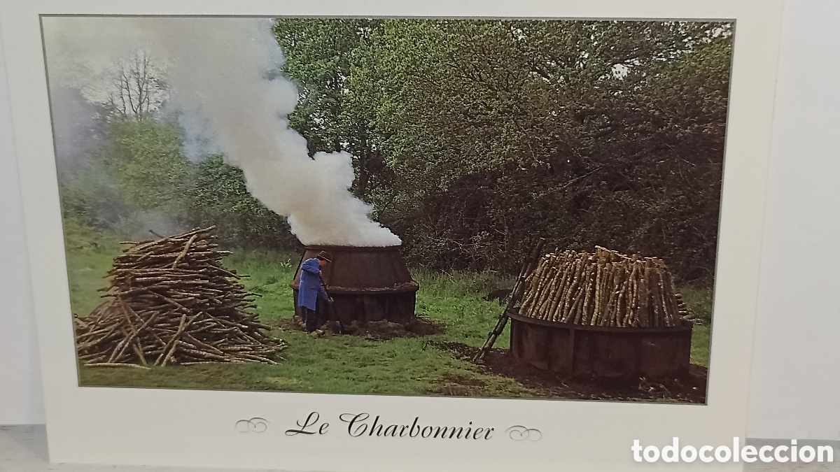 Postales: MINT.Le Charbonnier.France