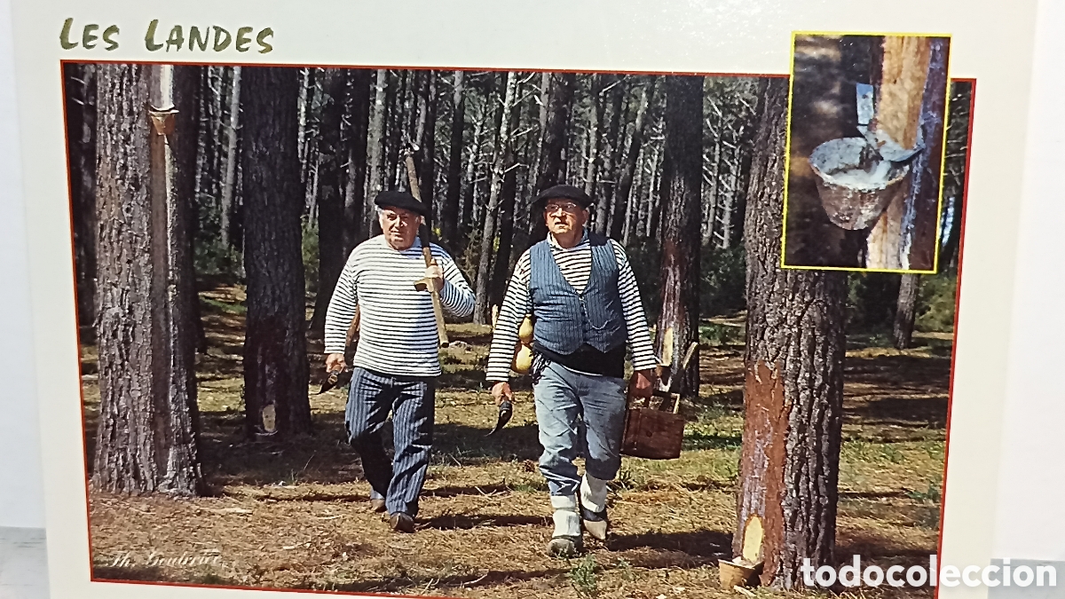 Postales: Mint les landes gemmalle a lancienne