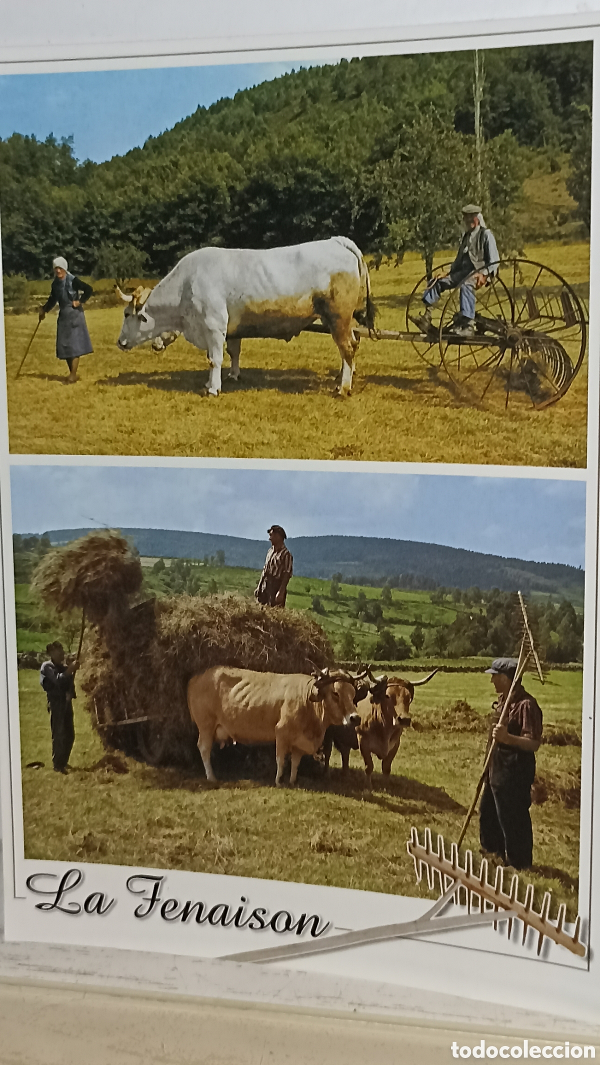 Postales: Mint la fenaison precioso postal franc&eacute;s