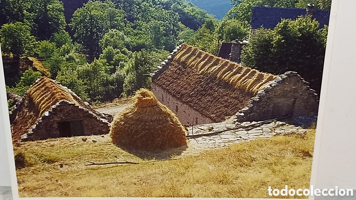 Postales: Mint Cevennes toits de chaume a Valdebouse