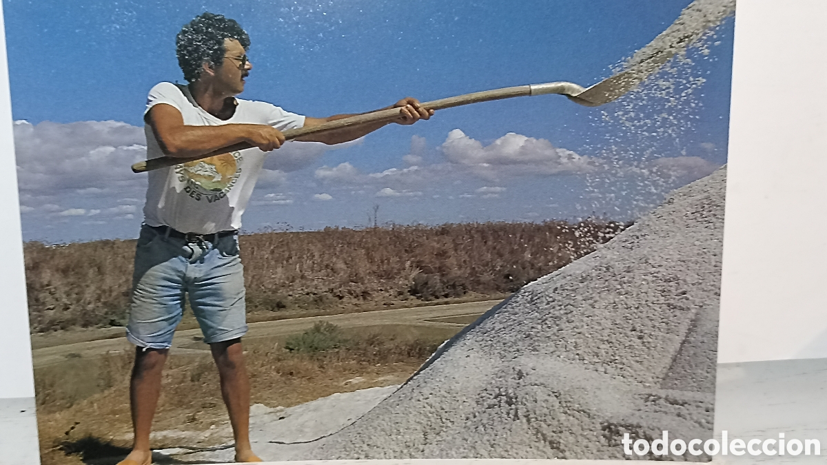 Postales: Mint art de la paloder&iacute;a mol&oacute;n sur le tremet