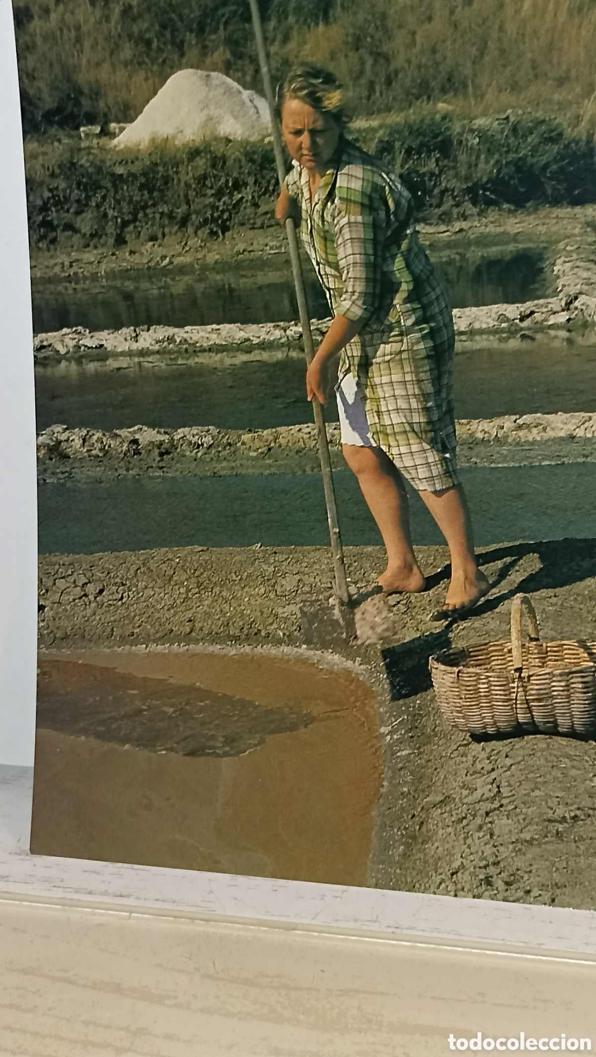 Postales: Mint-lart de la paloder&iacute;a recorte de la flor de sel
