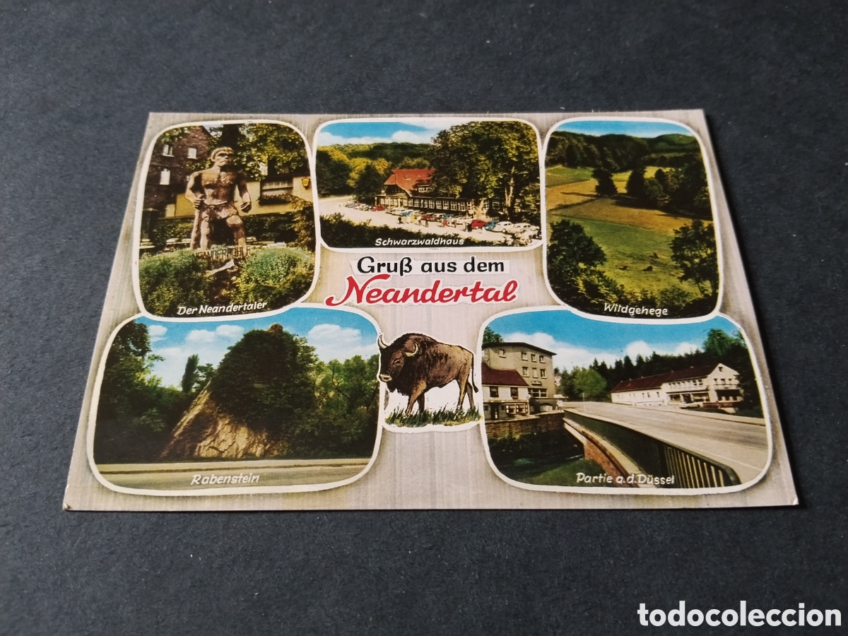 Postales: Postal Neandertal...... - Foto 1