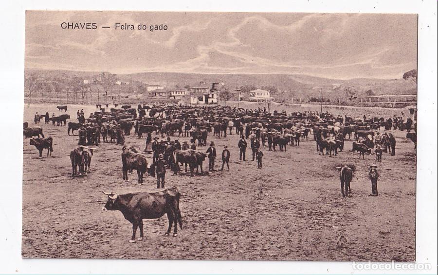 Postales: POSTAL. CHAVES. FEIRA DO GADO. 1926. TR&Aacute;S-OS-MONTES. PORTUGAL