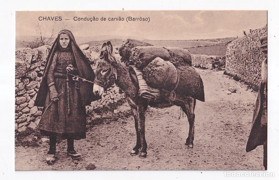 Postales: POSTAL. CHAVES. CONDU&Ccedil;AO DE CARBAO. BARROSO. 1926. TR&Aacute;S-OS-MONTES. PORTUGAL