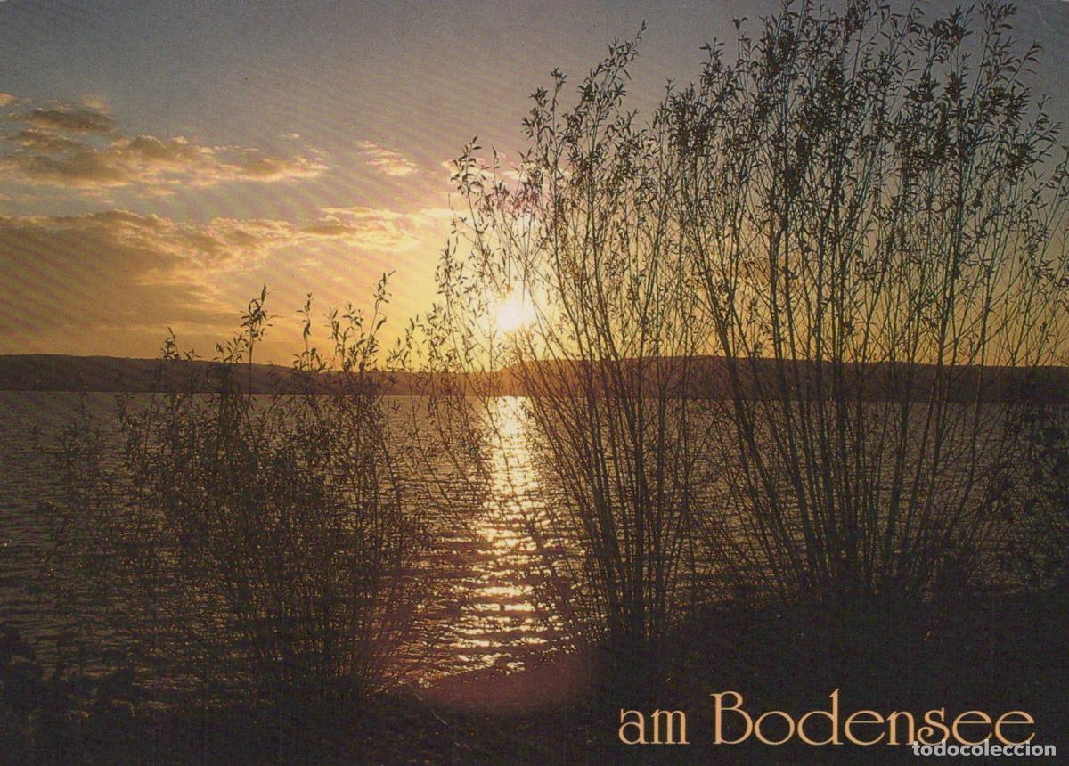 Postales: Germany Aalen Lake Constance Sunset Landscape With Silhouetted Trees *YBB060
