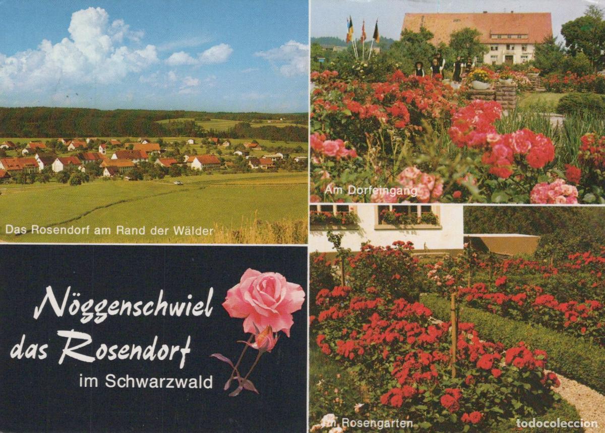 Cartes Postales: Germany Aalen N&ouml;ggenschwiel The Rose Village In The Black Forest *YBB114