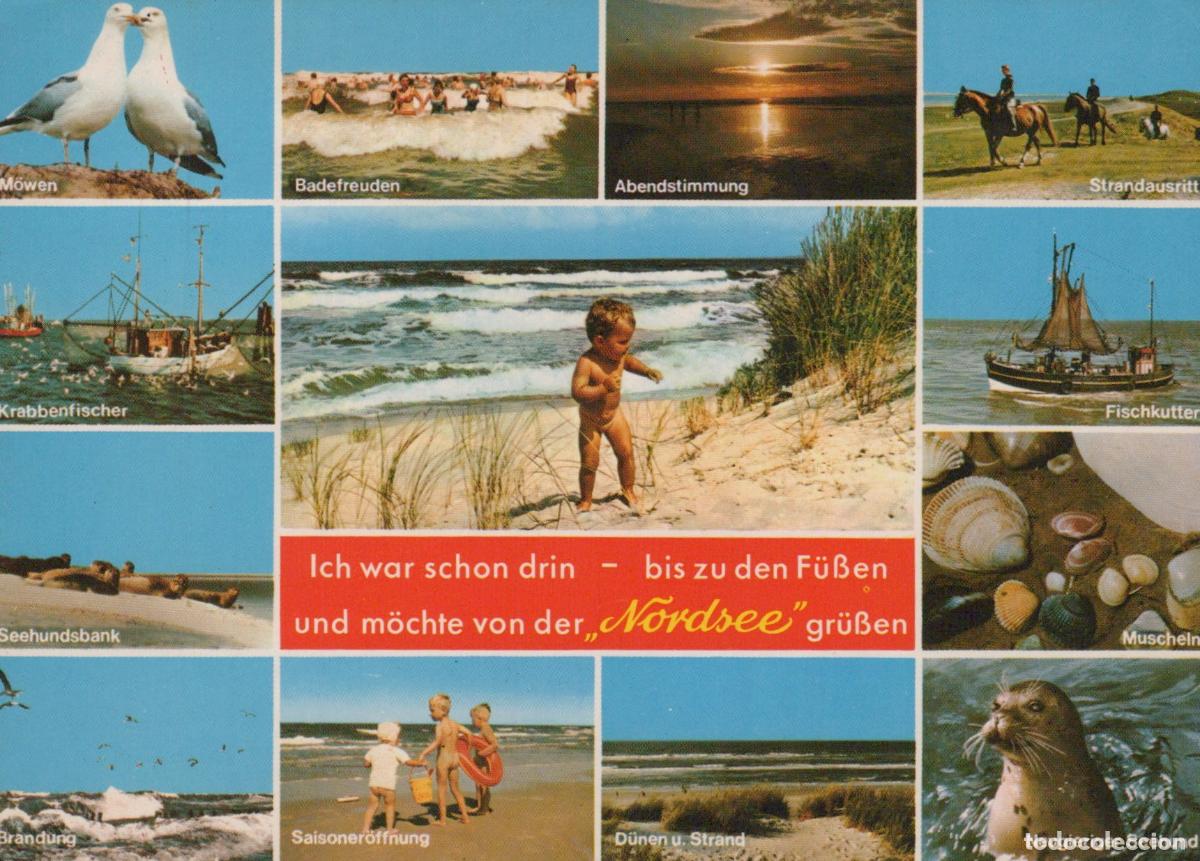 Cartes Postales: Germany Ahrensburg North Coast Sea Collage With Seagulls Beach Fishing *YBB135