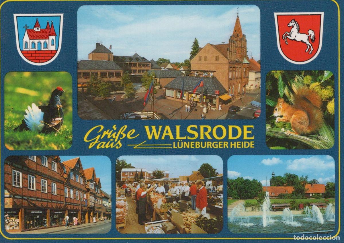Cartes Postales: Germany Walsrode L&uuml;neburg Heath Multi View Town Square Market Squirrel *YBB150