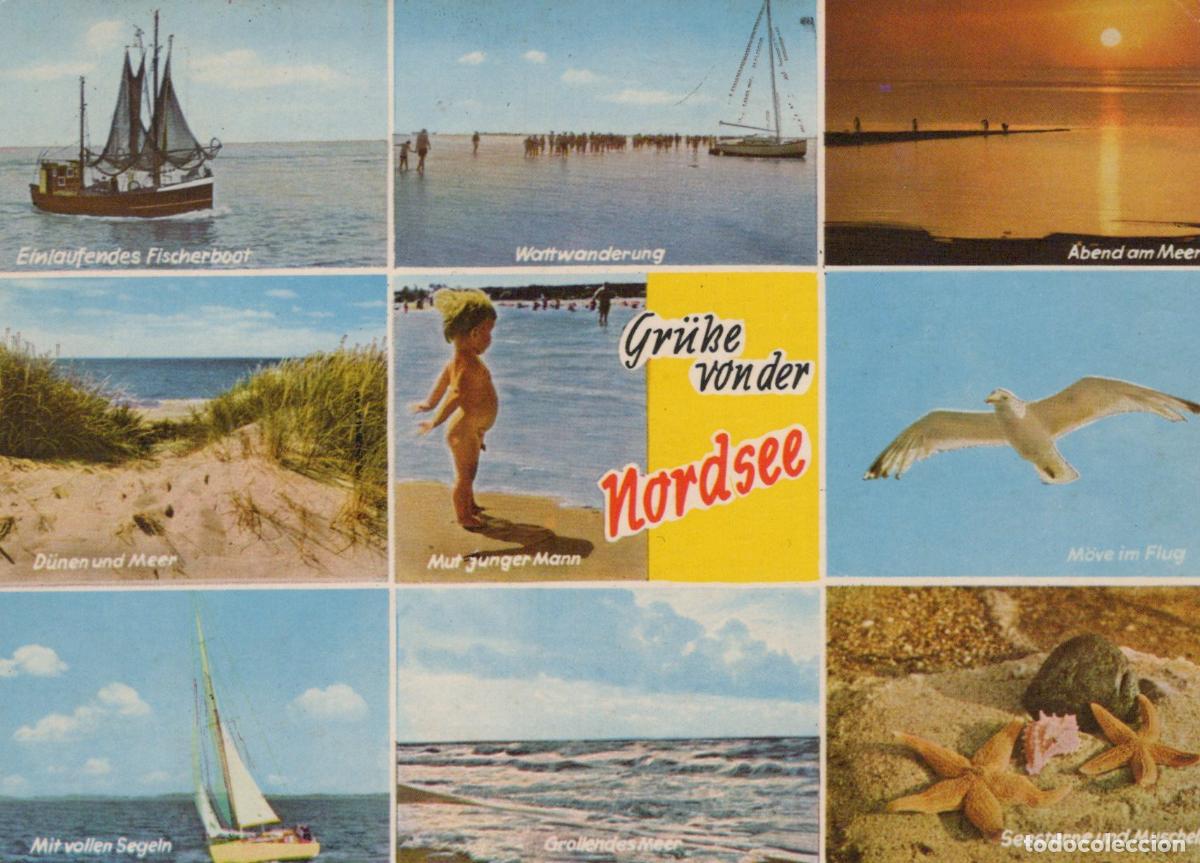 Cartes Postales: Germany Alfeld North Sea Multi View Fishing Boat Beach Dunes Seagull *YBB136