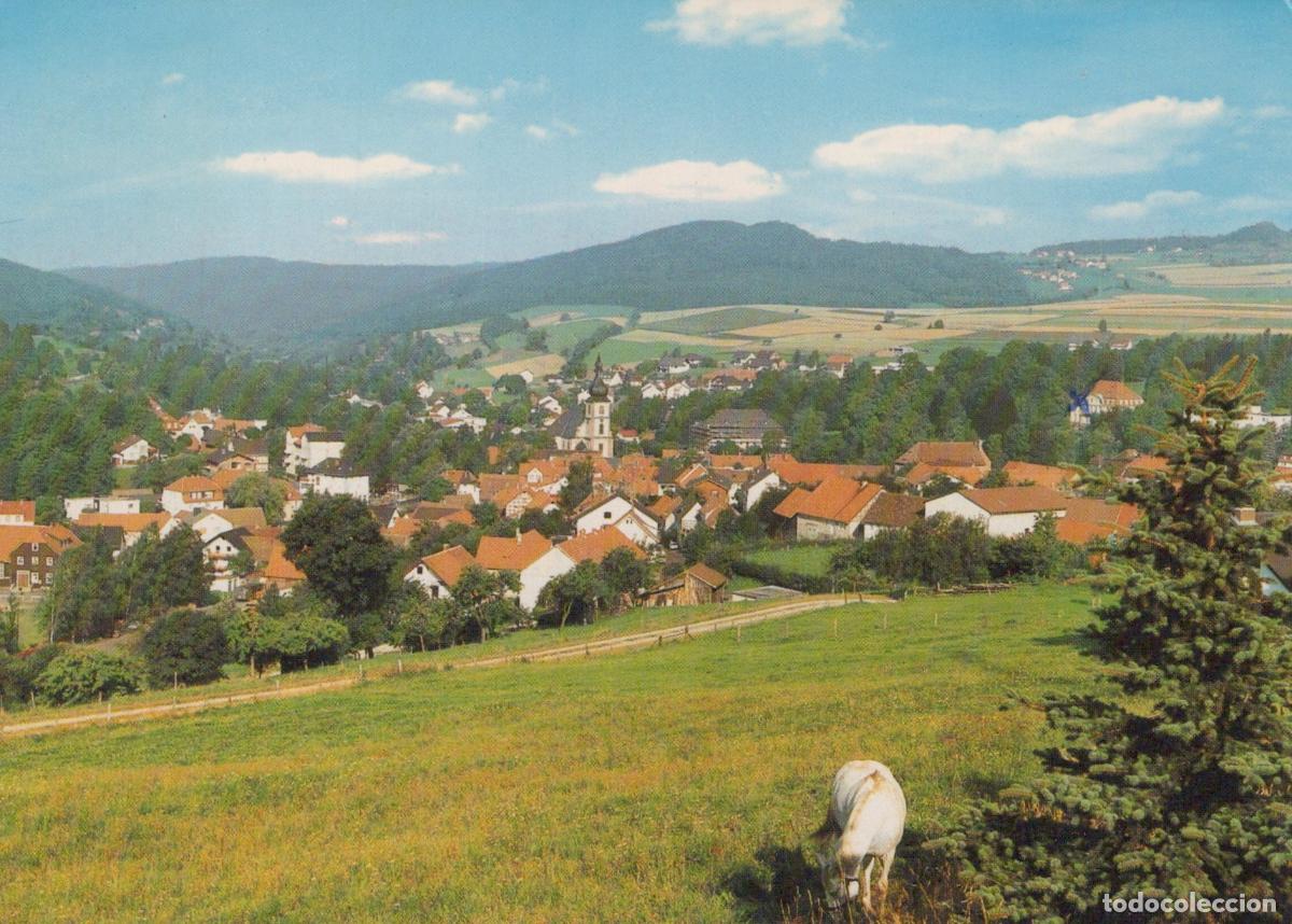 Cartes Postales: Germany Alsfeld Gersfeld Rh&ouml;n Village Landscape With Church And Grazing *YBB171