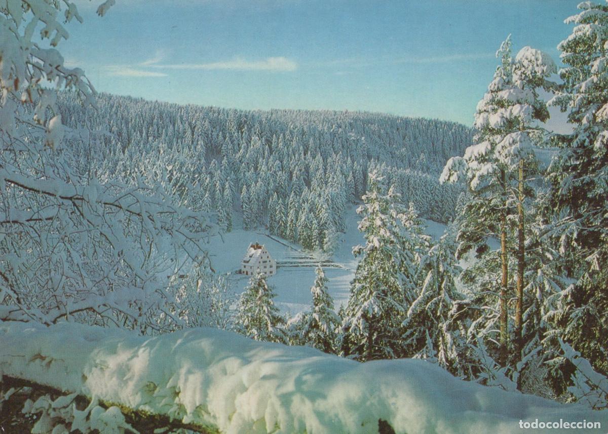 Postkarten: Germany Freudenstadt Winter Wonderland In Black Forest Snow Covered *YBB182
