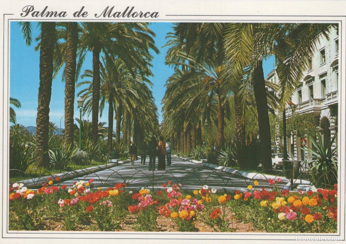 Cartes Postales: Spain Palma De Mallorca Paseo Sagrera With Palm Trees And Flowers *YBB388