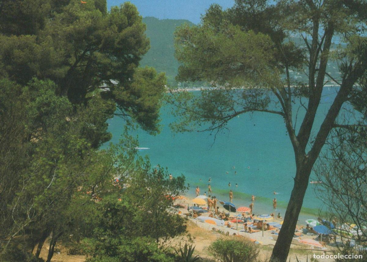 Postales: France Cavaliere Var Beach Du Layet Beach With Swimmers And Sunbathers *YBB438