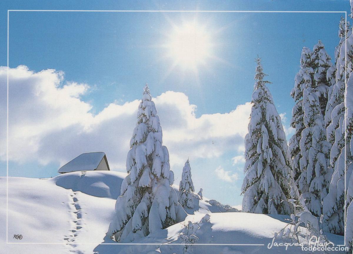 Cartes Postales: France Chambery French Alps Winter Landscape Snow Covered Trees Sun *YBB536