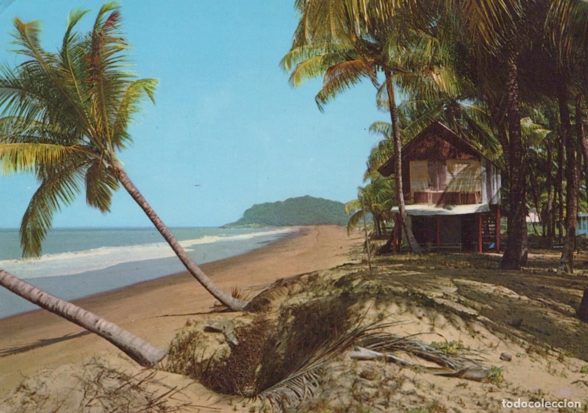 Cartes Postales: France Remire Montjoly Beach With Palm Trees And Coastal House *YBB395