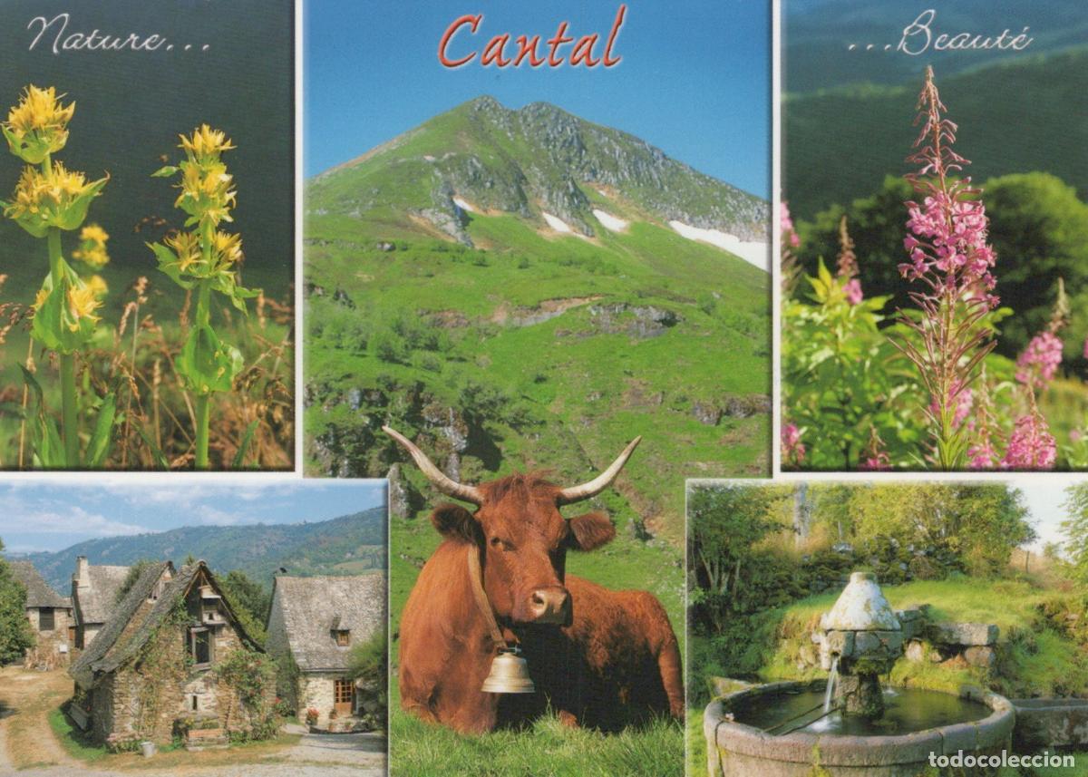 Postales: France Allanche Cantal Auvergne Mountain Landscape Flowers Traditional *YBB566