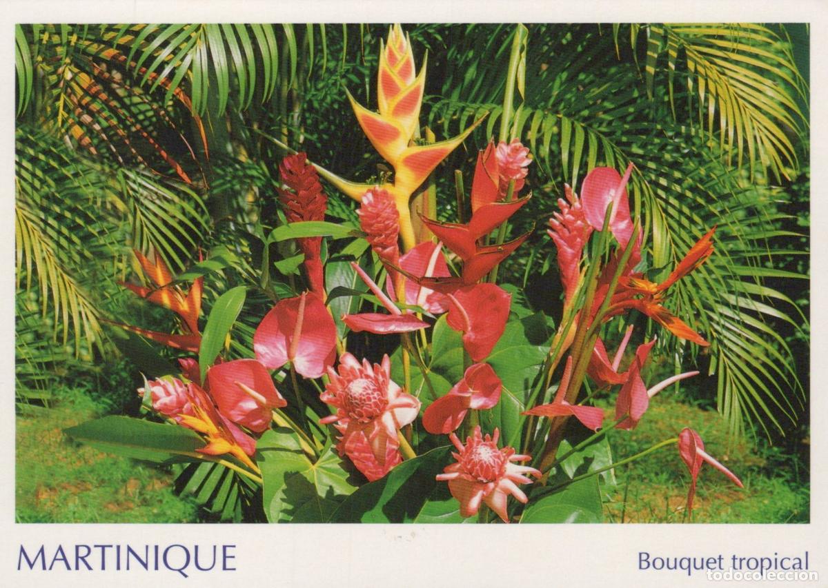 Cartes Postales: France Fort De France Tropical Bouquet Exotic Flowers Palm Leaves *YBB450