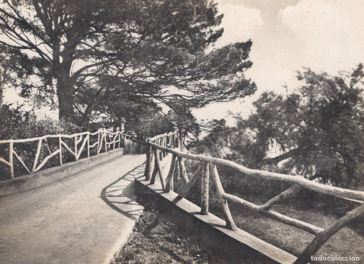 Cartoline: France Brest Finist&egrave;re Le Grand Ker Jean Le Pont Real Photo Unposted *YBB665