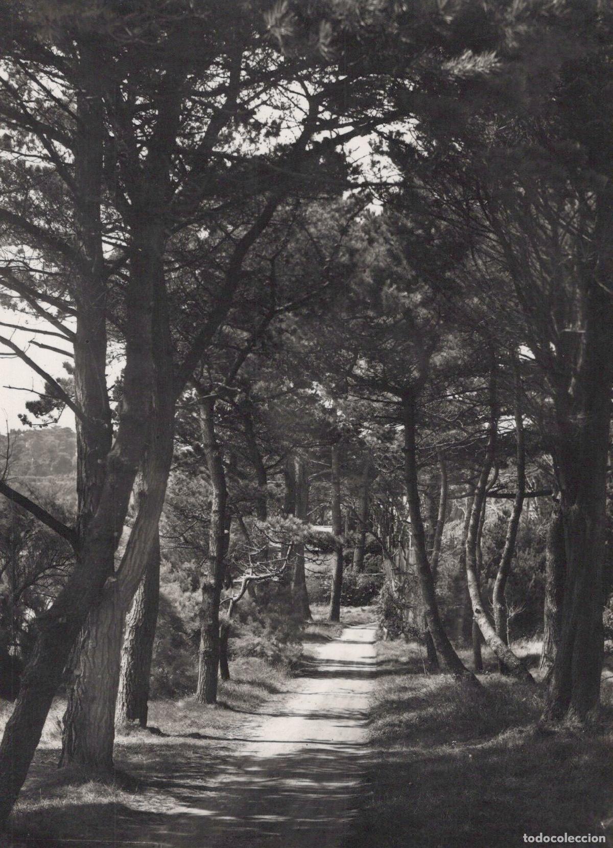 Cartoline: France Brest Finist&egrave;re Le Grand Ker Jean Un Under Real Photo Unposted *YBB675