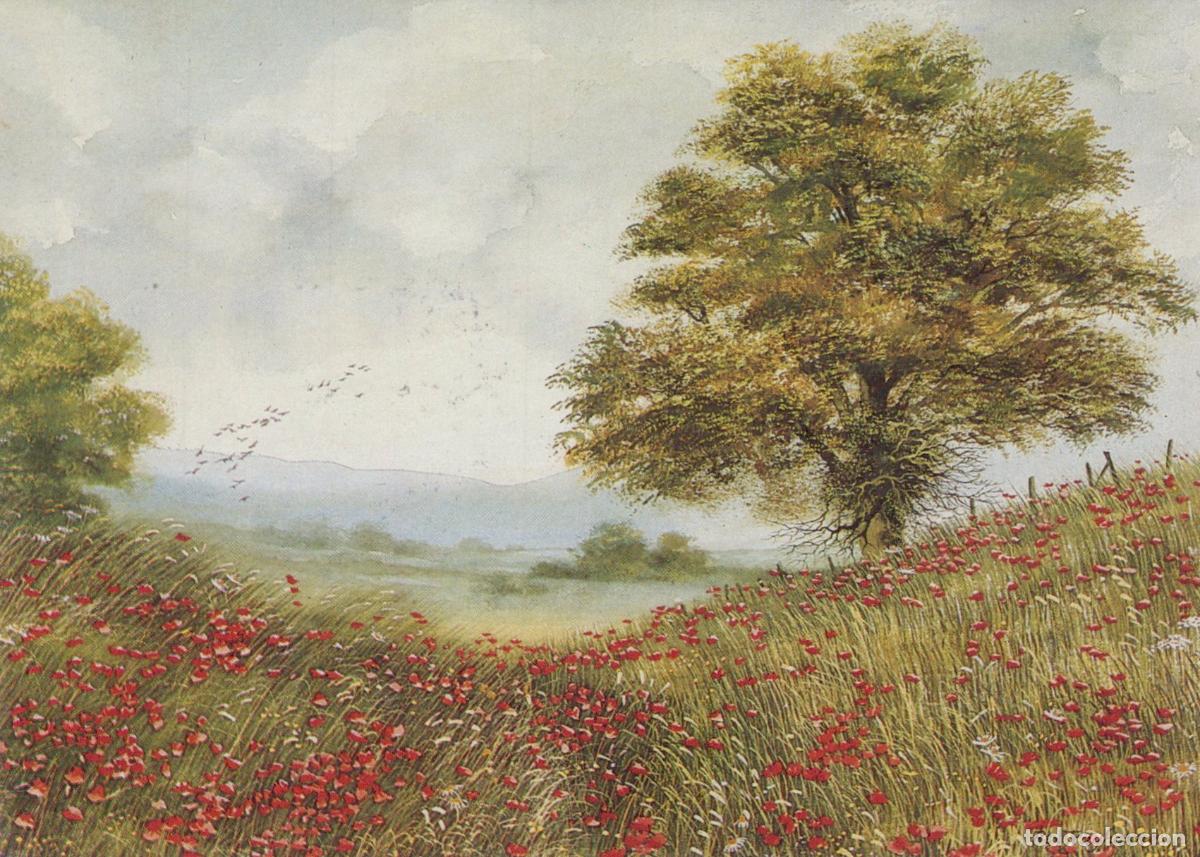 Postkarten: Germany Emmerich Rex Trayhorne Landscape With Poppy Field And Tree *YBB687