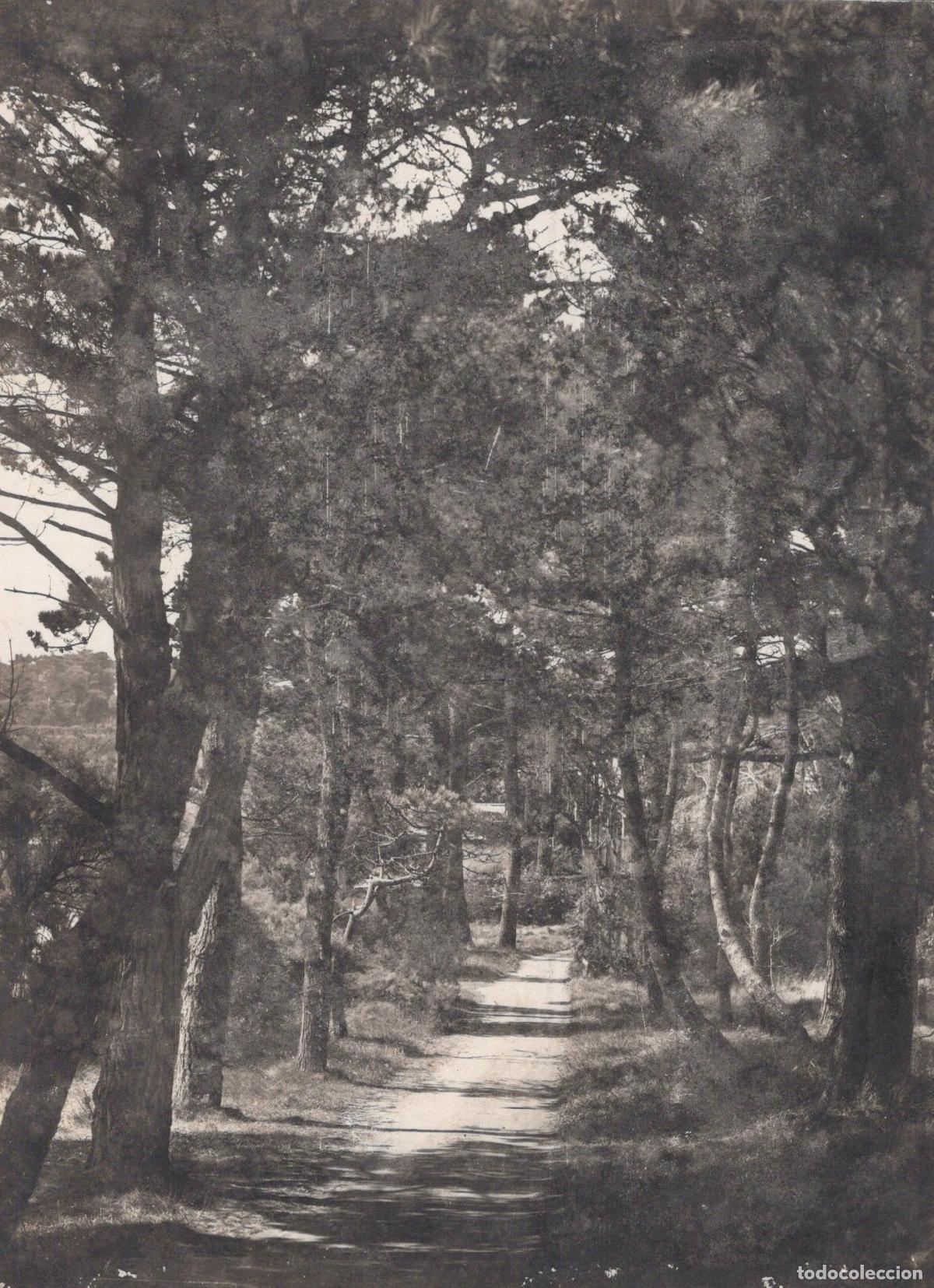 Postkarten: France Brest Finist&egrave;re Le Grand Ker Jean A Path In Real Photo Unposted *YBB676