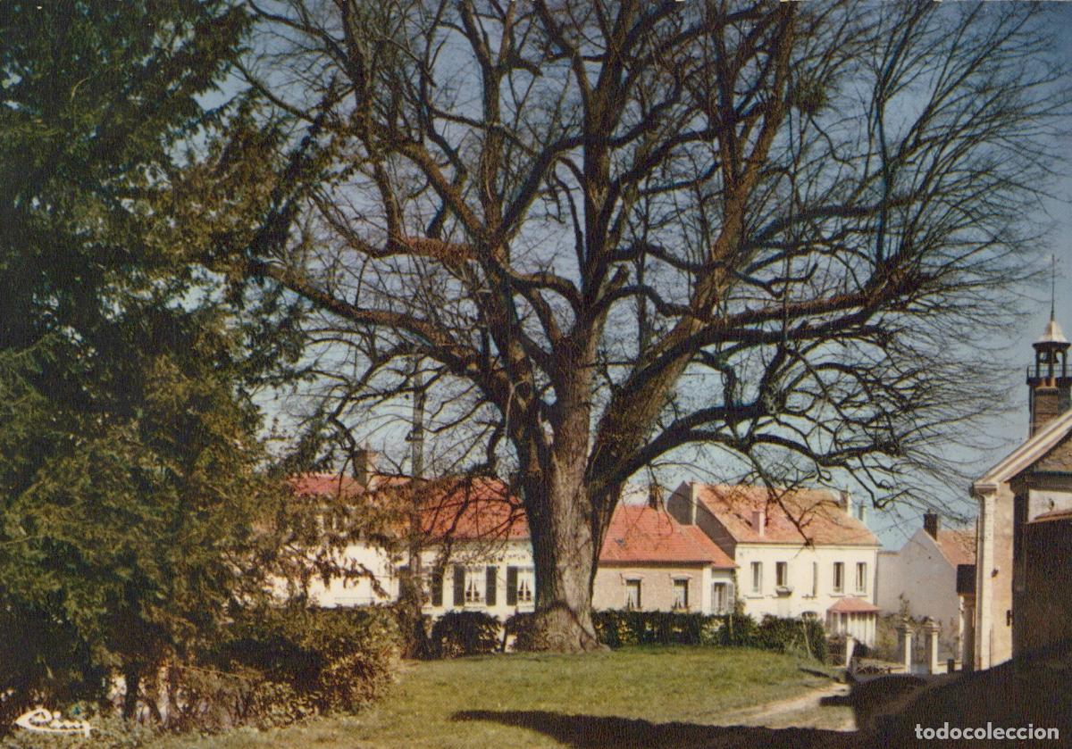 Postkarten: France Thoiry Yvelines Le Village A Large Tree In The Unposted *YBB558