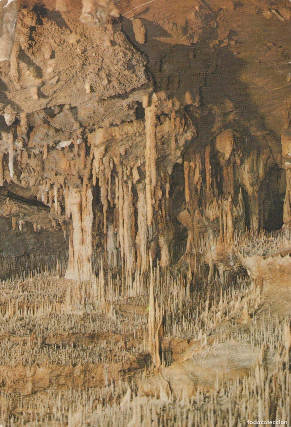 Postkarten: France Gourdon En Quercy Prehistoric Caves Of Cougnac Stalactites *YBB573