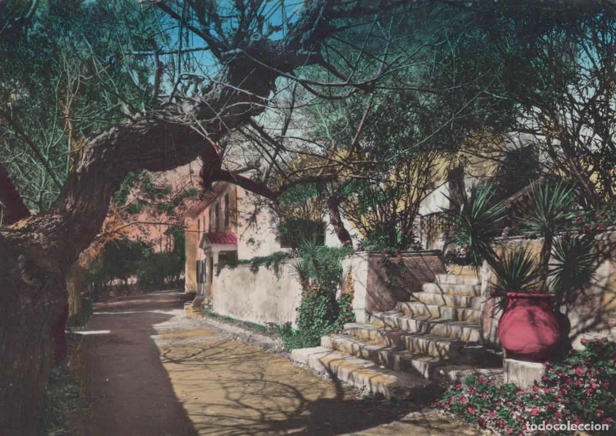 Postkarten: France Ile De Port Cros Le Manoir A Charming House With Steps And Trees *YBB549