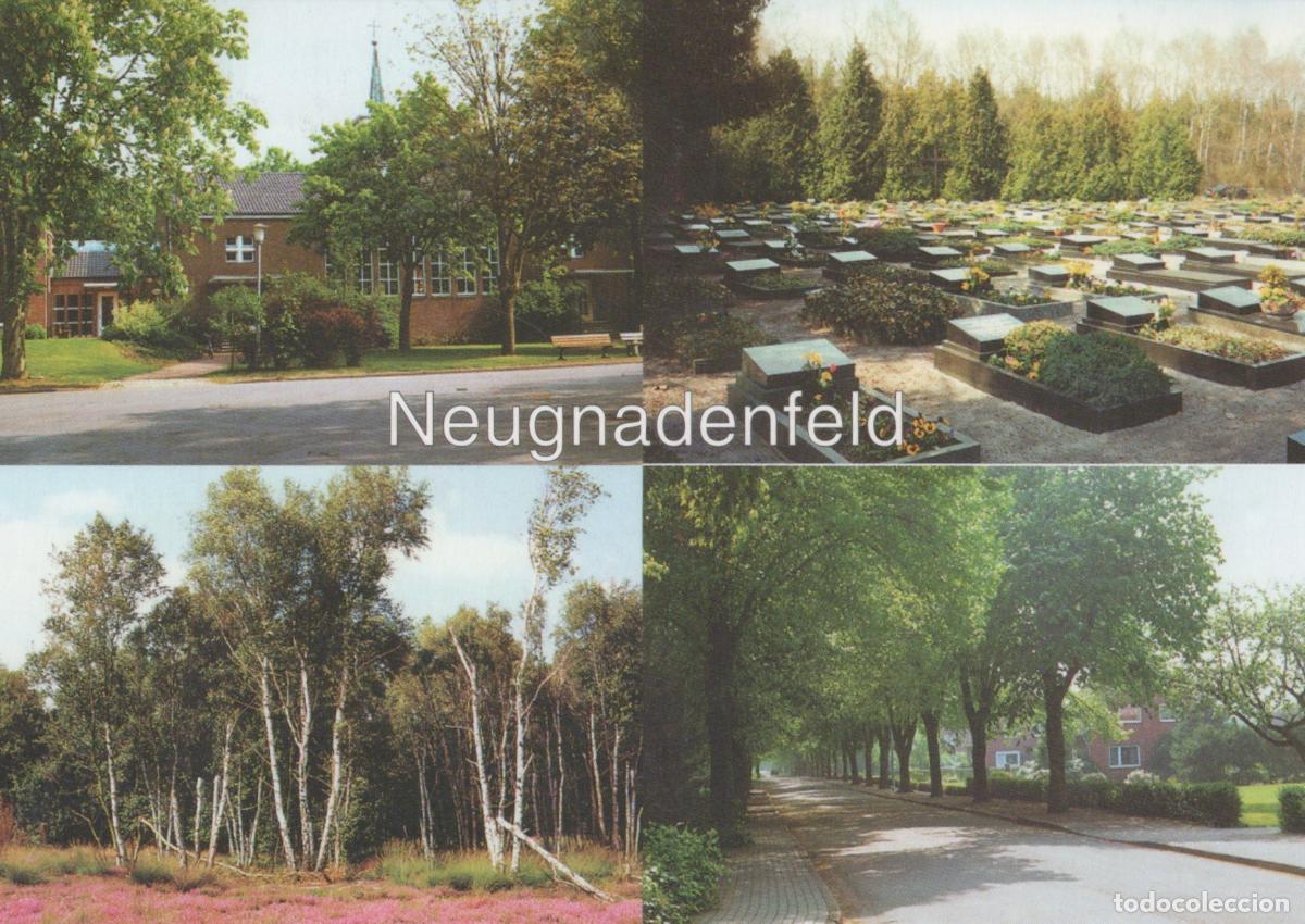 Postkarten: Germany Alfeld Neugnadenfeld Church Cemetery Birch Forest Tree Lined *YBB765