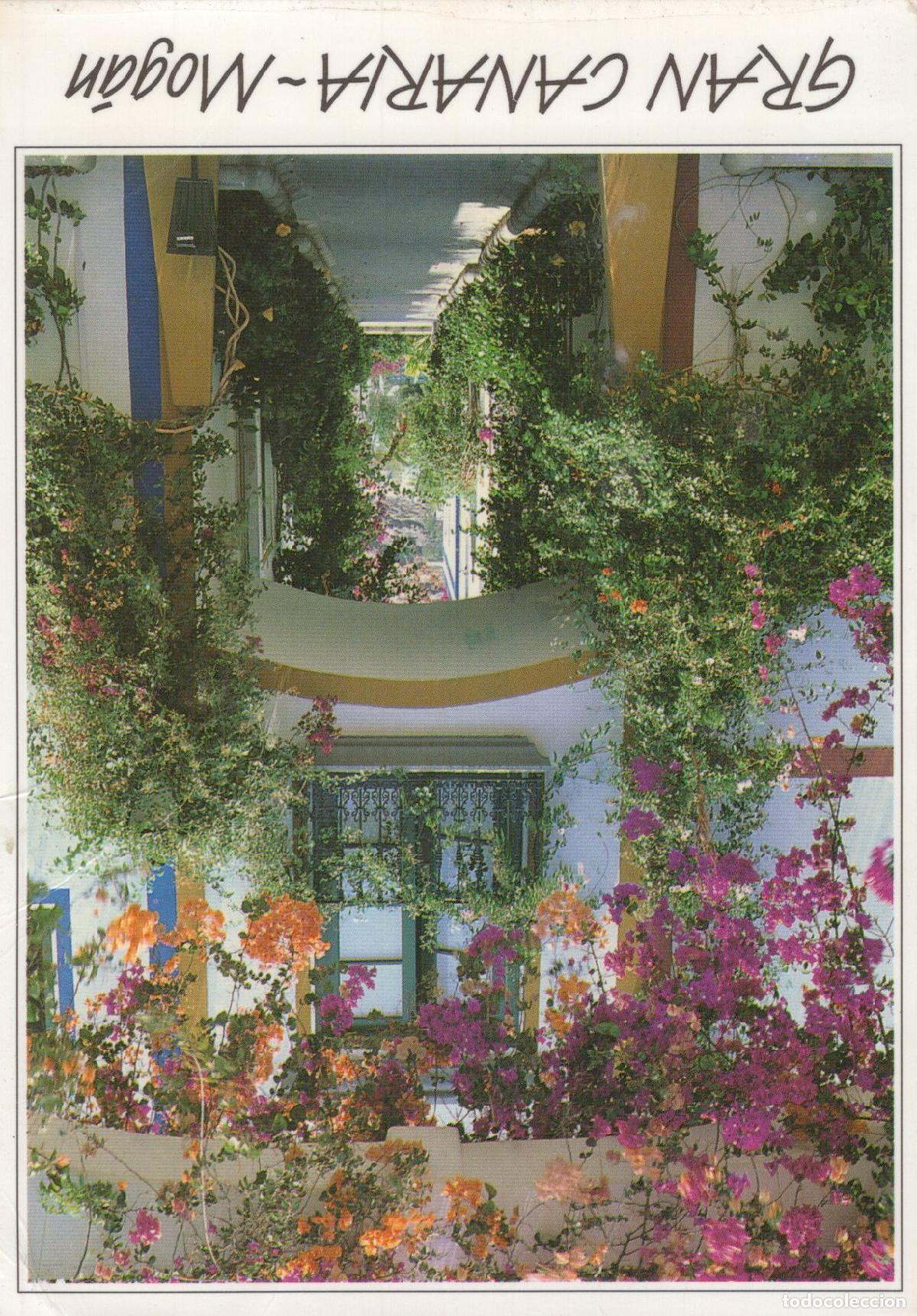 Postkarten: Spain Gran Canaria Mogan Colorful Flowers And Vines On Building Facade *YBB613