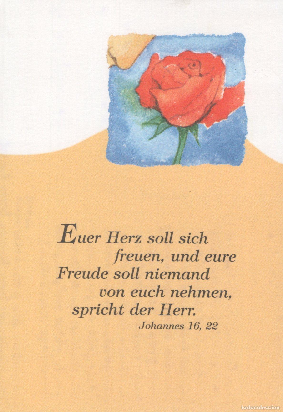 Postales: Germany Muenchen Red Rose With A Quote From Johannes 16 22 *YBB815