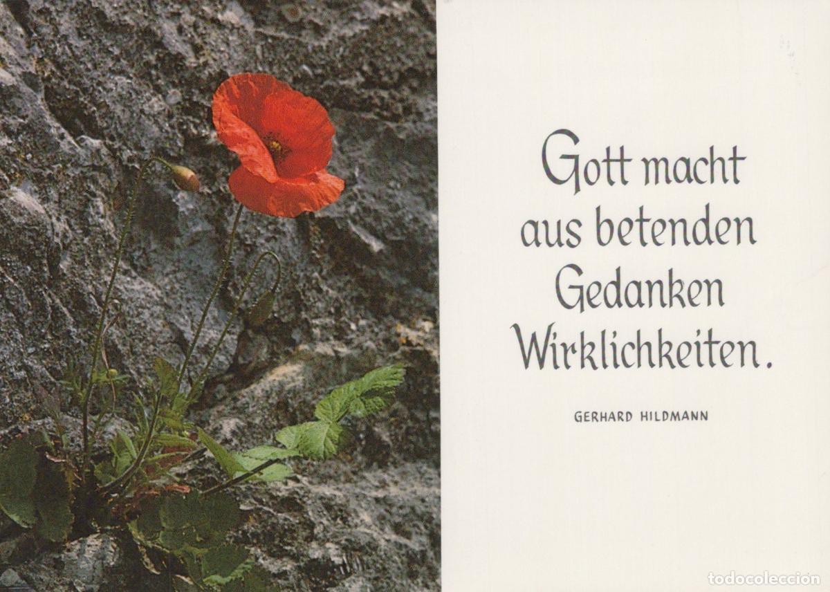 Postales: Germany Red Poppy Flower On Rocky Wall With German Quote Religious Theme *YBB796