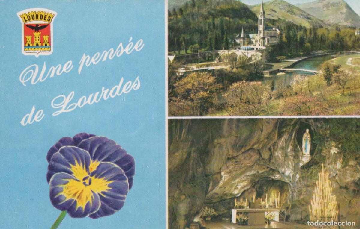 Postales: France Lourdes Basilica Grotto Religious Shrine Landscape Pansy Flower *YBB639