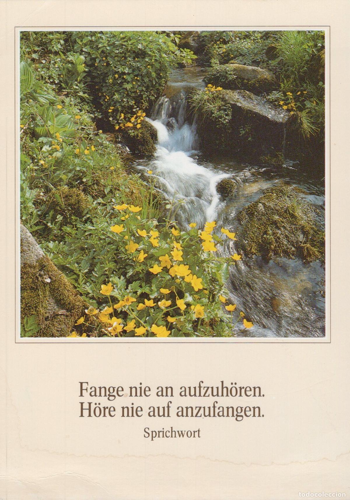 Postales: Germany Mountain Stream With Yellow Flowers Inspirational German Quote *YBB870
