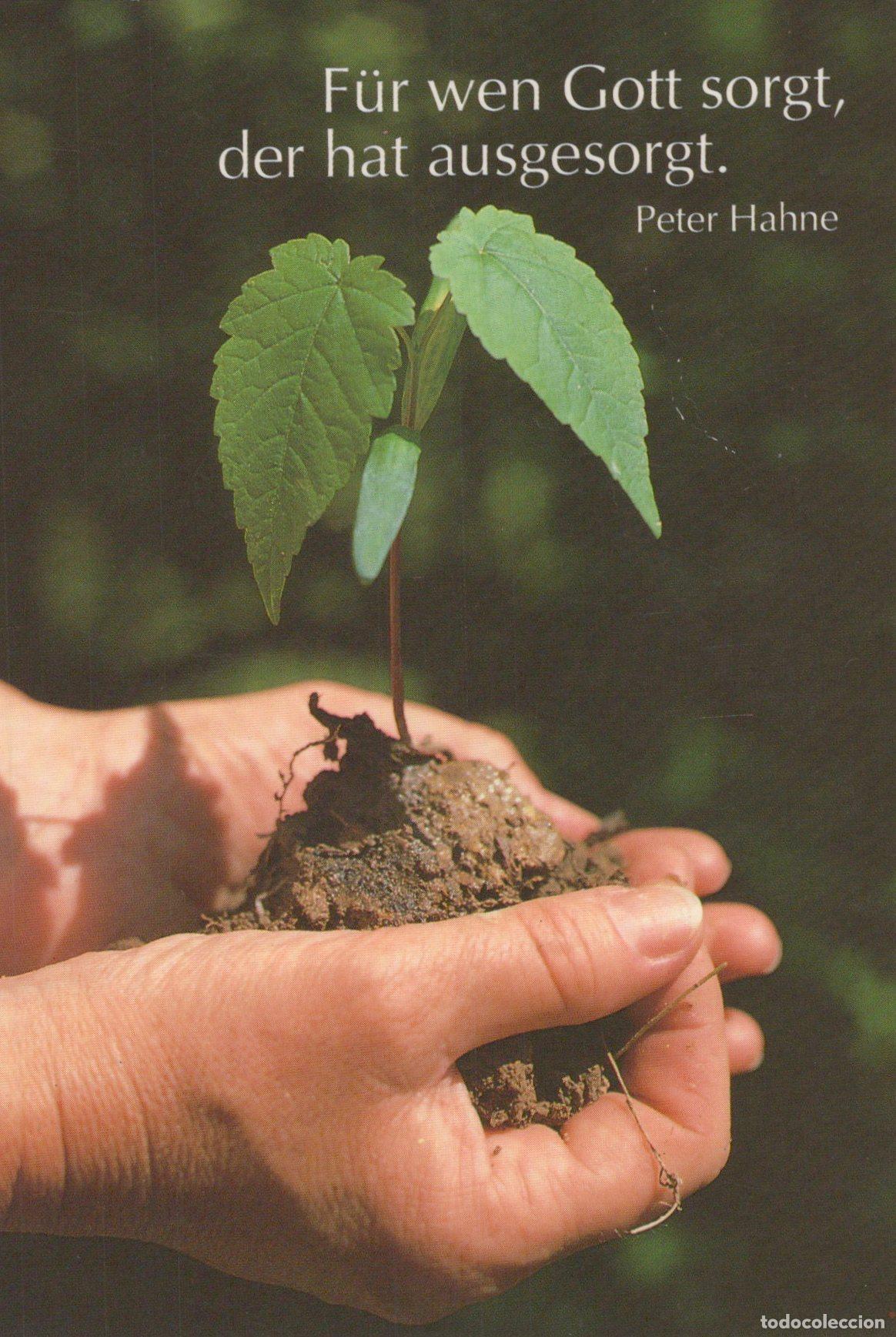 Postais: Germany Munster Hands Holding A Young Plant With Soil Religious Quote *YBB897