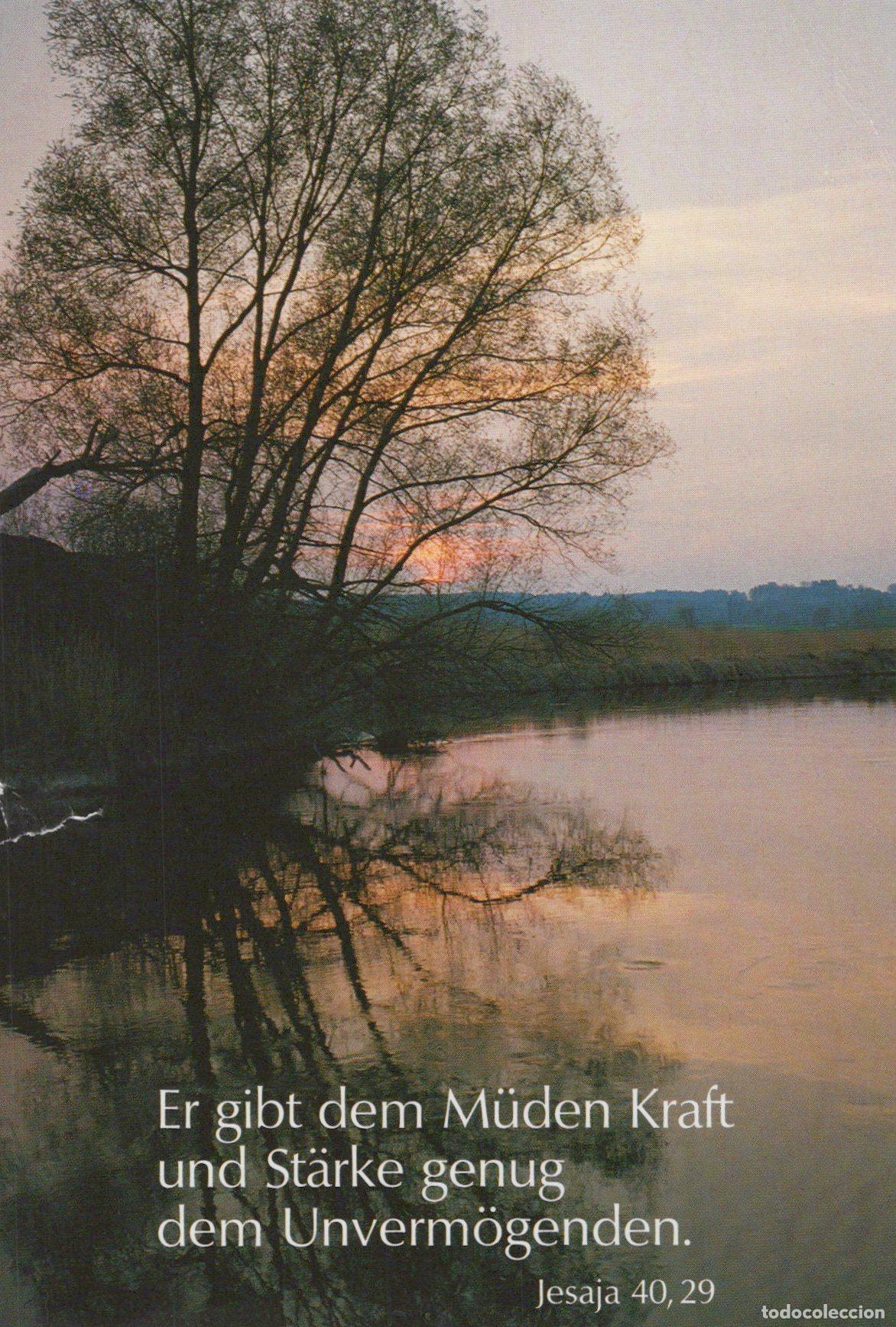 Postales: Germany Aachen Tree By A River At Sunset With A Biblical Quote *YBB895