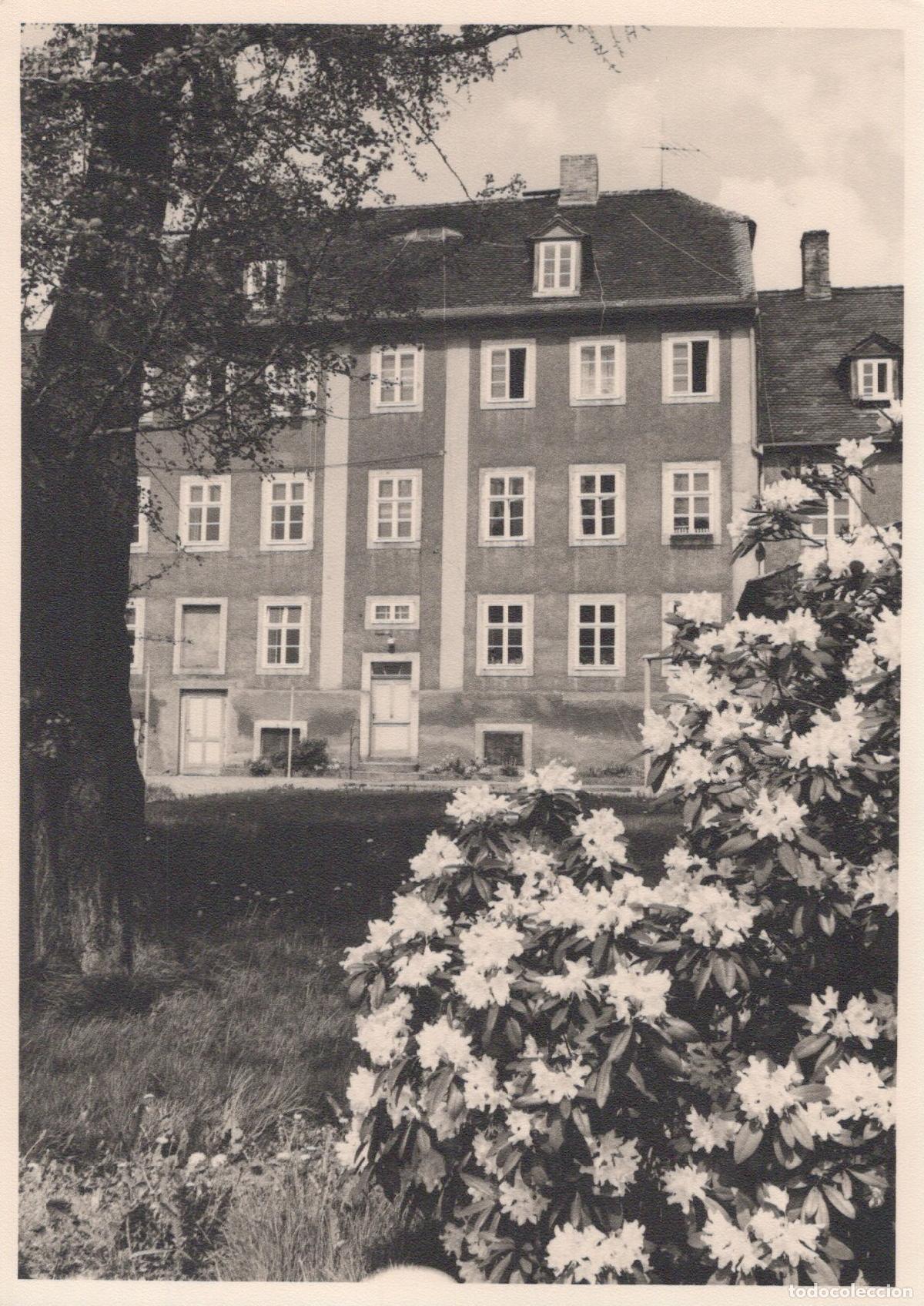 Postcards: Germany Dresden Historic Building With Flowering Bushes And Unposted *YBB900