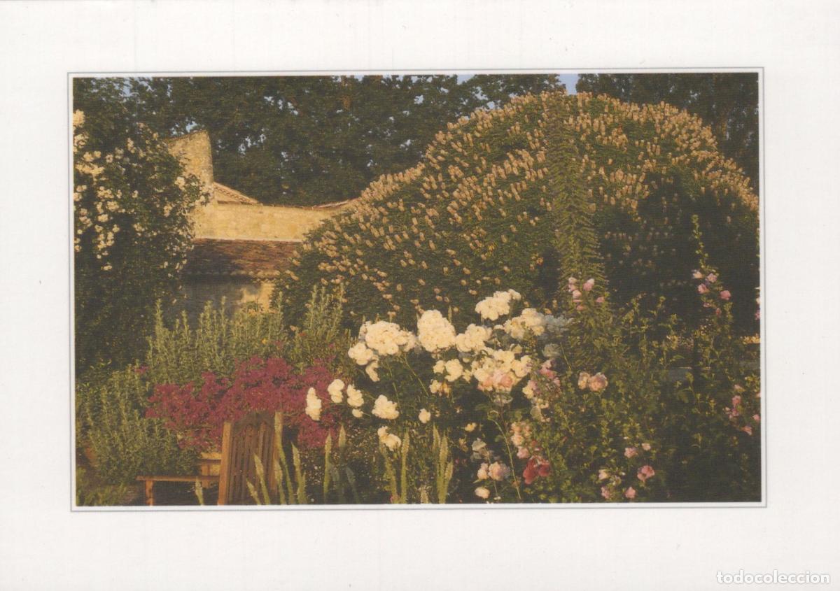 Postkarten: France Auch Gers La Romieu Courciana Gardens Beautiful Flowers And *YBB920