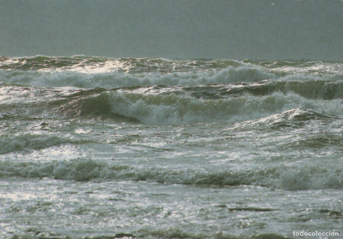 Cartoline: Denmark Rough Sea Waves Ocean Landscape *YBB738