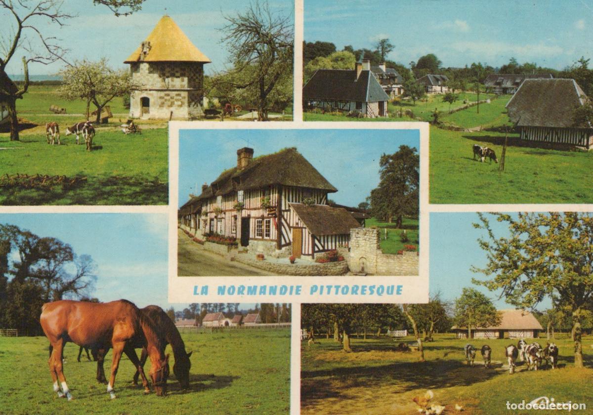 Postcards: France Cabourg Picturesque Normandy With Traditional Houses Cows And *YBB946