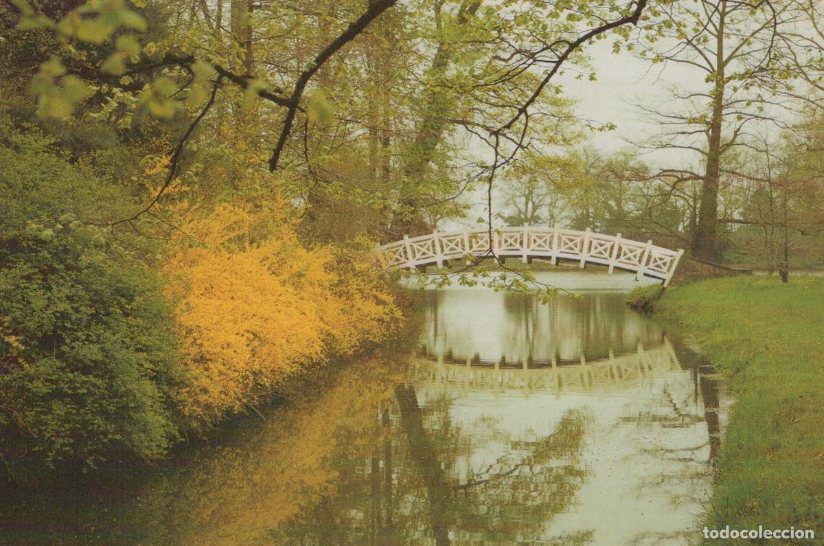 Cartoline: Germany Dessau W&ouml;rlitz White Bridge Oranienbaum W&ouml;rlitz Unposted *YBB749