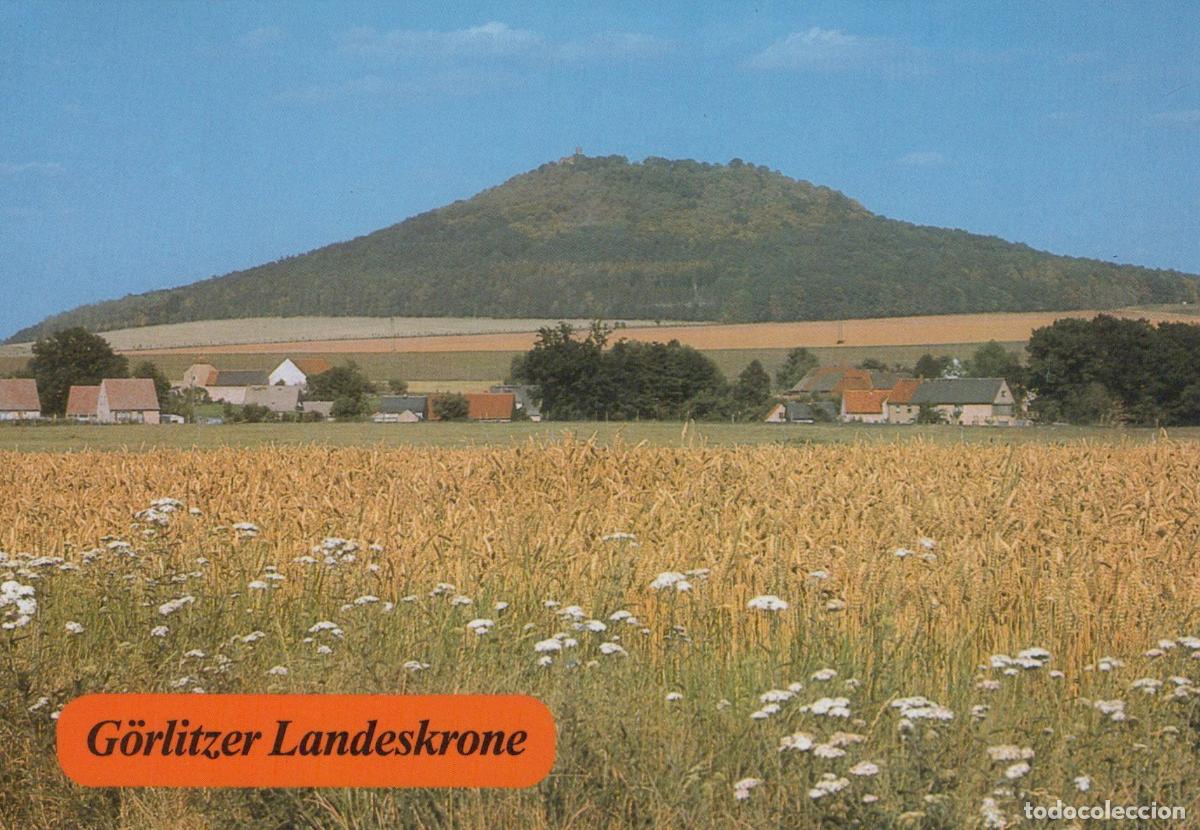 Cartoline: Germany Altenberg G&ouml;rlitzer Landskrone Mountain Landscape With Wheat *YBB764