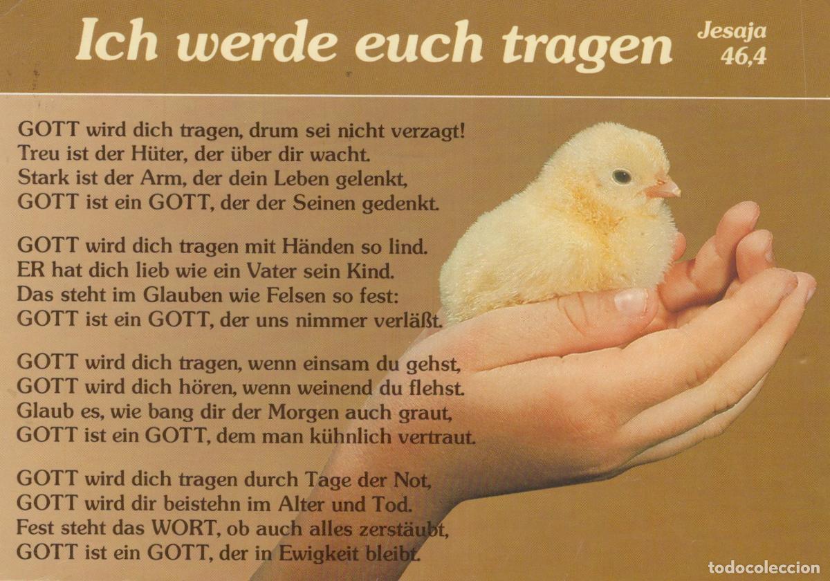 Postkarten: Germany Bad Bentheim Religious With Chick In Hand German Scripture *YBB799