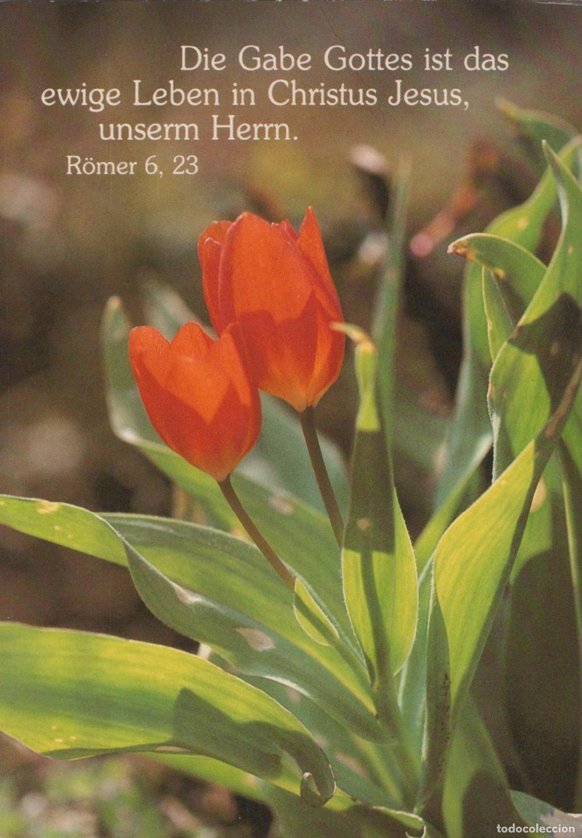 Postkarten: Germany Dortmund Two Red Tulips With Green Leaves And A Bible Verse In *YBB873