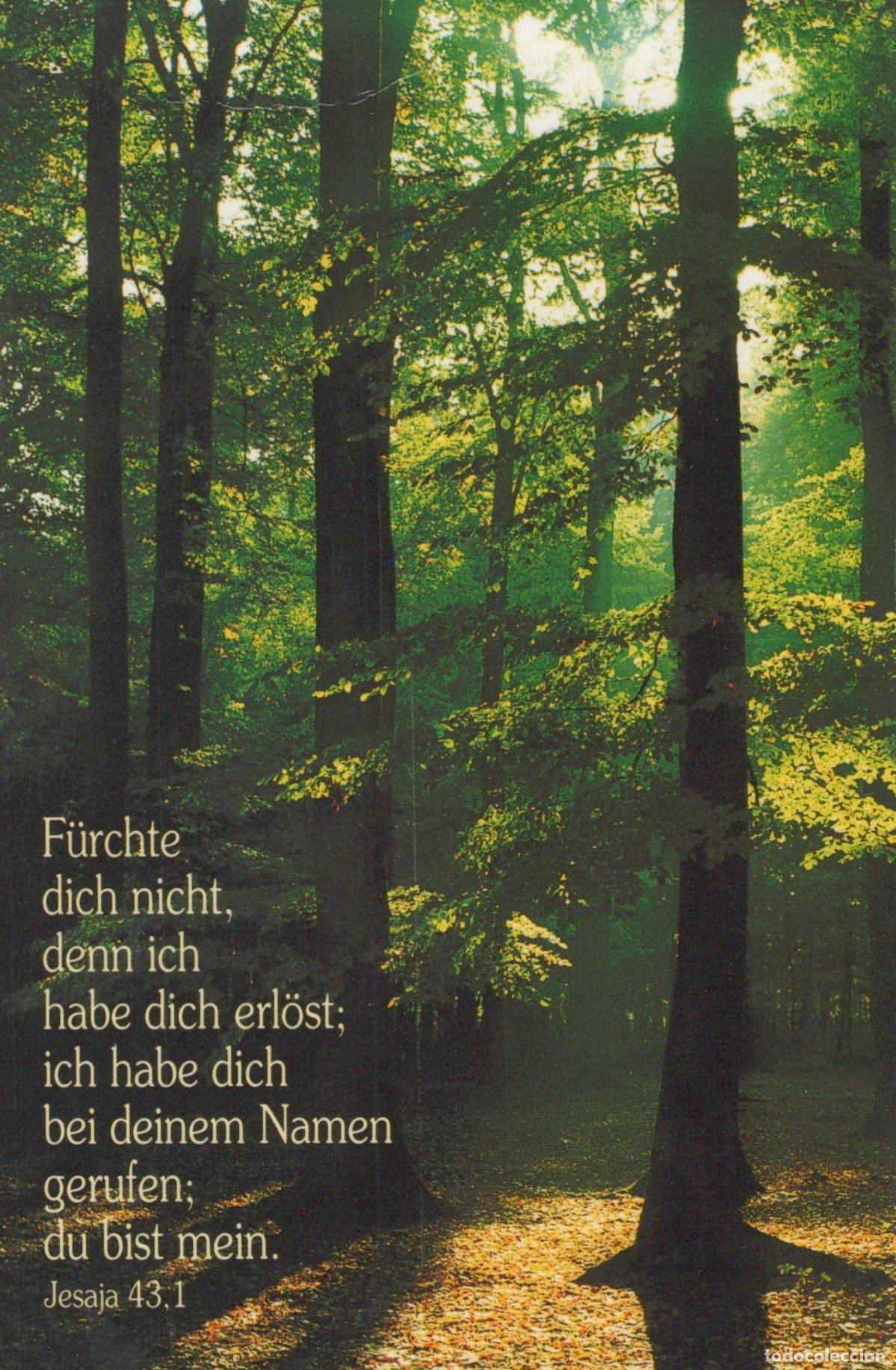 Postkarten: Germany Aachen Forest Path With Bible Verse Religious Nature Scene *YBB894
