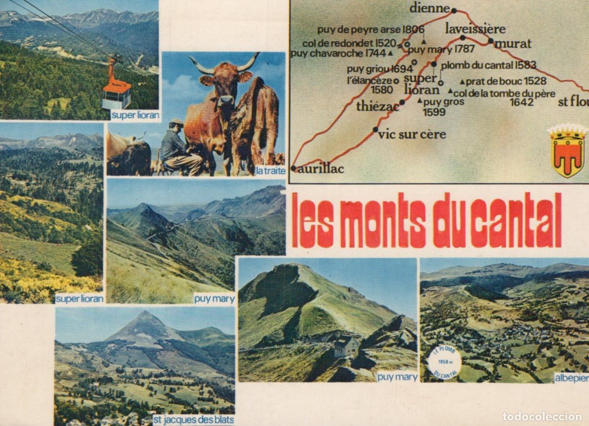 Postales: France Aurillac Les Monts Du Cantal Mountain Landscapes And Cattle *YBB944