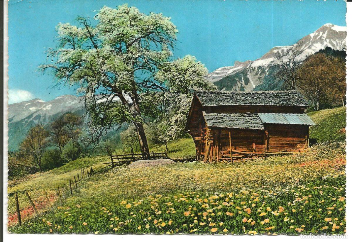 Postales: POSTAL ITALIA - CABA&Ntilde;A BAJO MONTA&Ntilde;AS NEVADAS - CECAMI