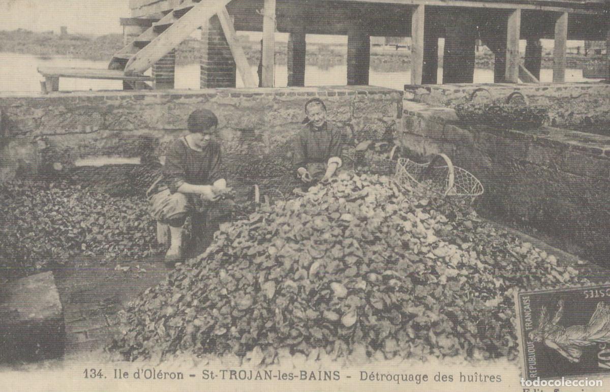 Postales: France Ile D Ol&eacute;ron Women Sorting Oysters In St Trojan Les Reproduction *YBC014