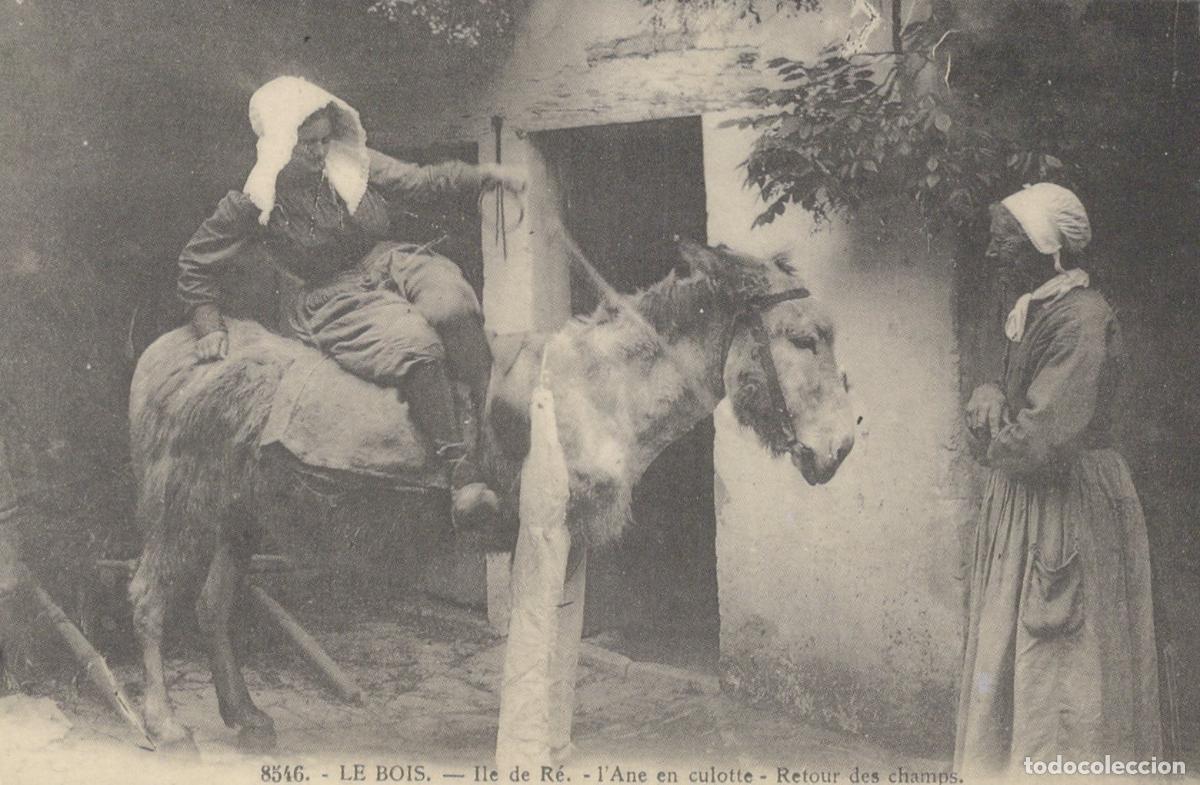 Postcards: France Le Bois Ile De Re Donkey Unposted Reproduction *YBC035